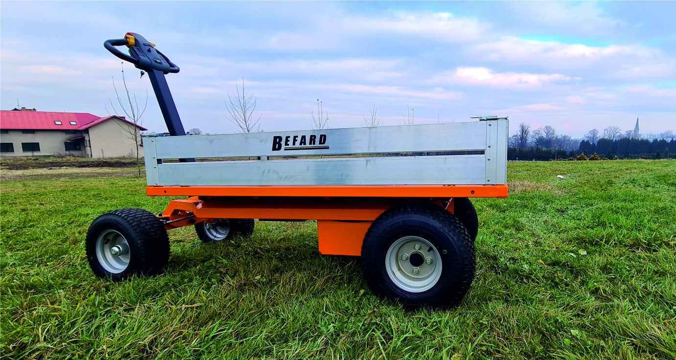Electric transport carts