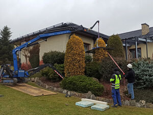 Mini crane fully remote controlled